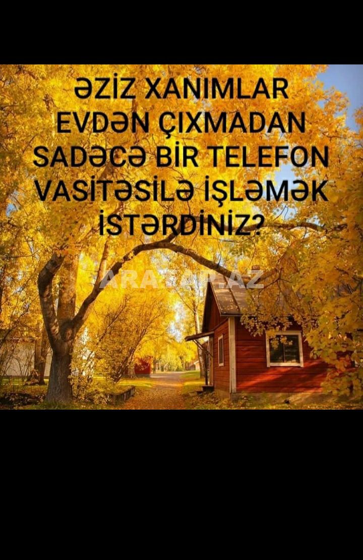 Xanımlar üçün biznes işi 2