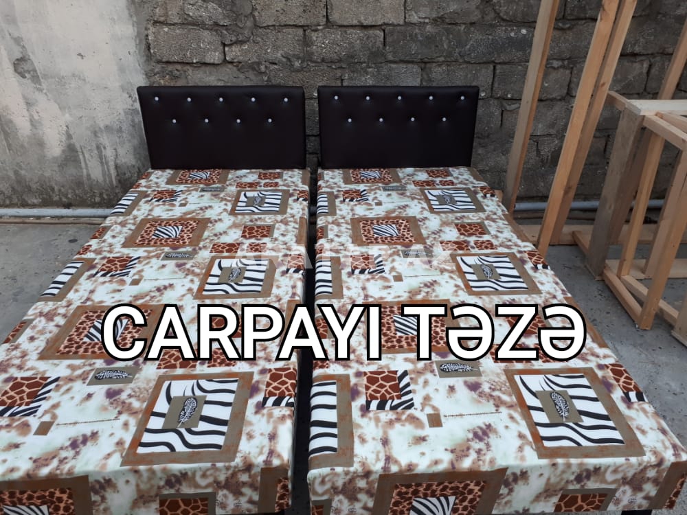 Carpayilar