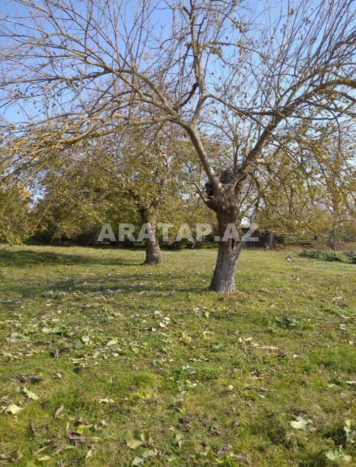 Torpaq satılır 15 hektar Səlyan rayonunda