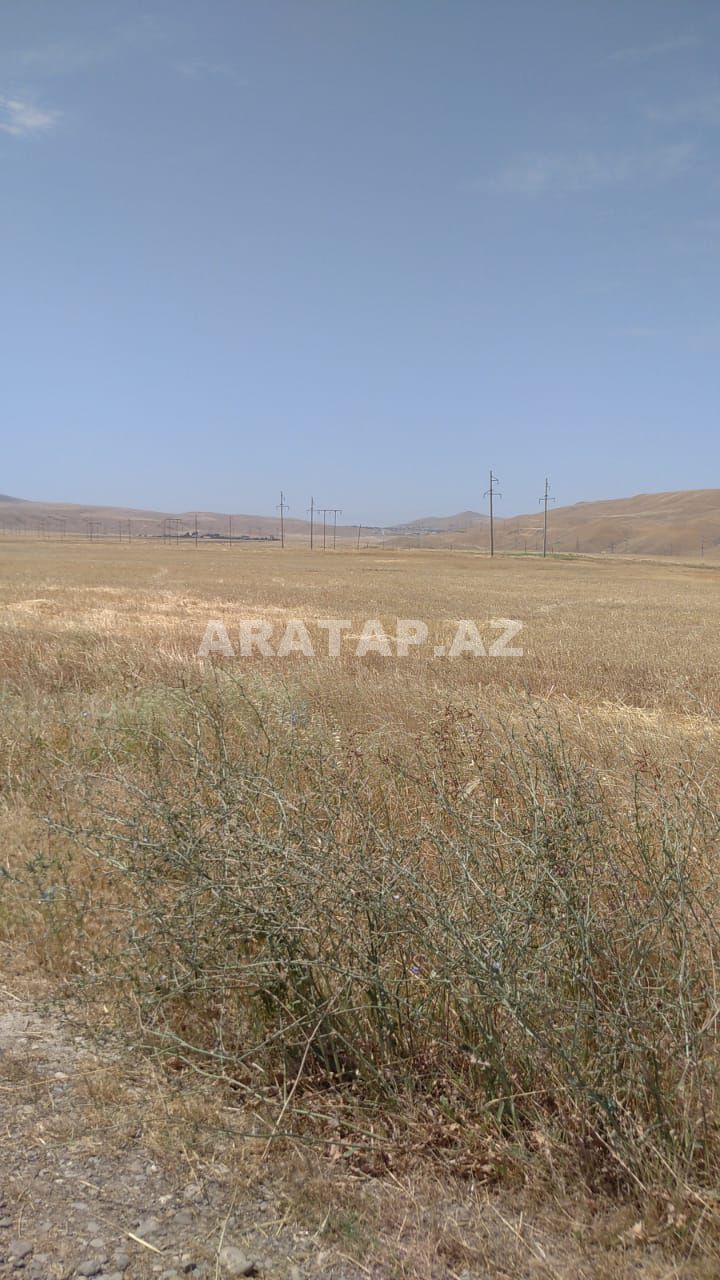 Əkin yeri satılır 100 ha özəl