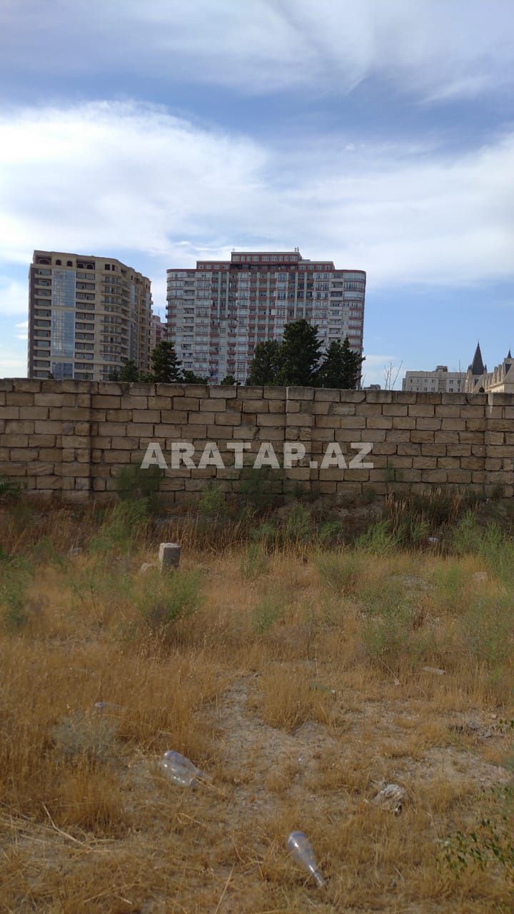 6 sot badamdarda satılir