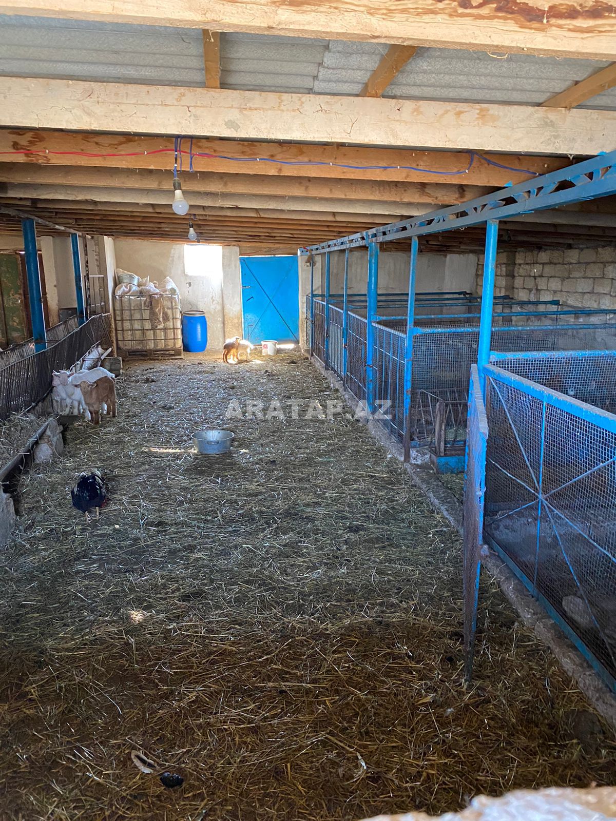 Ferma  satılır