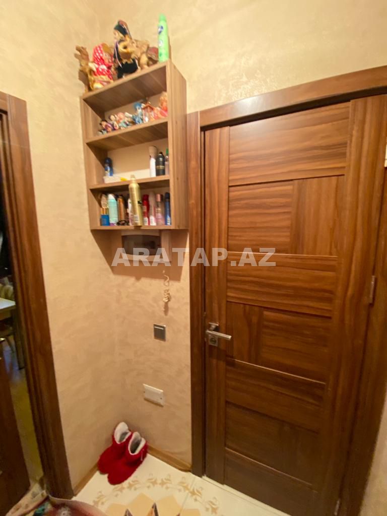 bina evi