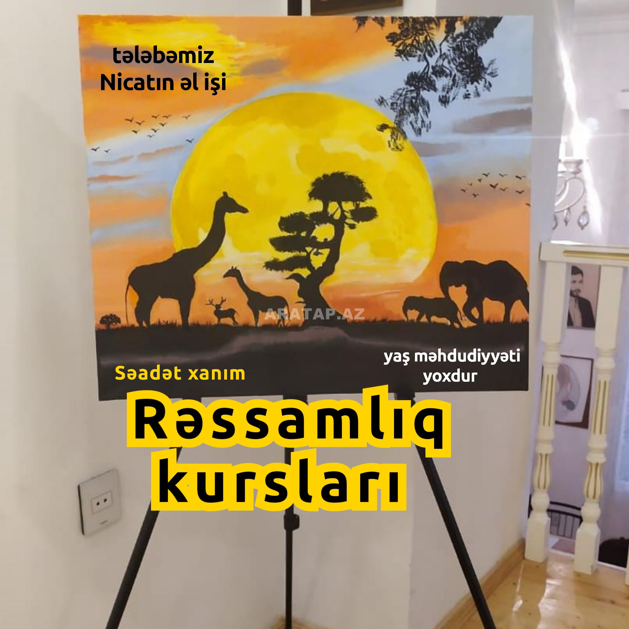 Rəssamlıq kursları