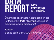 Data Reporting (BI)