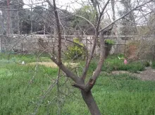 Binəqədi rayonu Rəsulzadə qəsəbəsi