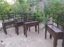 Gül Dibçəkləri