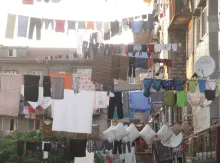 Şərit Paltar Asilqan