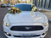 mustang bey gelin toy masini sifarisi