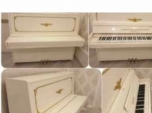 Pianino ve reyalarin dasinilmasi