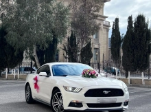 mustang bey gelin toy masini sifarisi