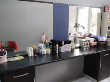 Salon guzgusu