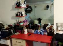 Salon guzgusu