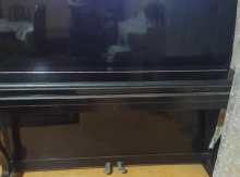 Pionino