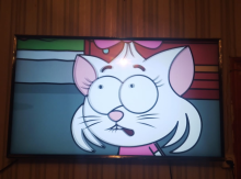 Tv ev