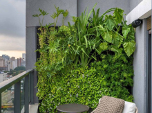 Dekorativ yaşıllıqlar