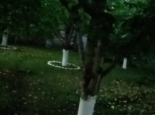 Ailə Qurmaq Istəyirəm