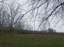 30 sot torpaq sahəsi, Qəbələ rayonu Hacıalılı kəndi.