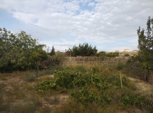   Torpaq sahəsi
