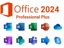 Microsoft Office Professional Plus 2024