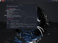 Kali Linux əməliyyat sisteminin yüklənməsi