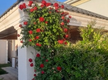 Bağ evi, Merdekan qes.