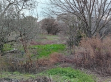 Əhmədlidə 3 sot torpaq sahəsi satılır.