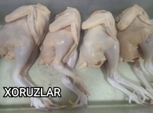 Xoruz əti