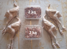 Çolpa əti kampaniya