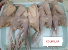 Serebrist Çolpa Əti