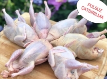 Bildirçin əti
