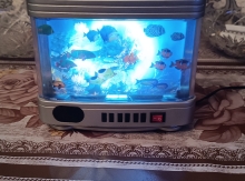 Dekorativ hərəkətli akvarium