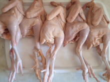 Çolpa əti kampaniya