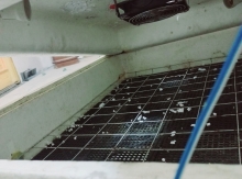 Inkubator